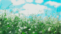 Low quality preview for 