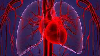 Zufällige Diagnose: Nicht immer zeigen sich bei einer Herzrhythmusstörung Symptome.