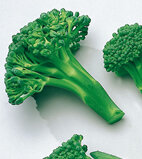 Leuchtend grüne Schlankmacher: Brokkoli