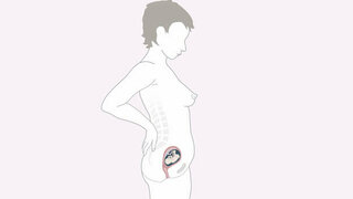 Schwangerschaftskalender SSW 16