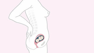 Schwangerschaftskalender SSW 17