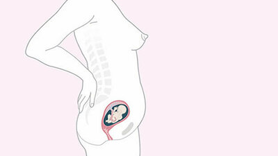Schwangerschaftskalender SSW 18