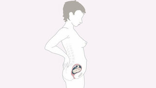 Schwangerschaftskalender SSW 20