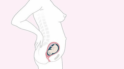 Schwangerschaftskalender SSW 21