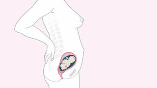 Schwangerschaftskalender SSW 22