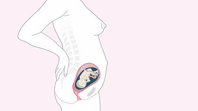 Schwangerschaftskalender SSW 23