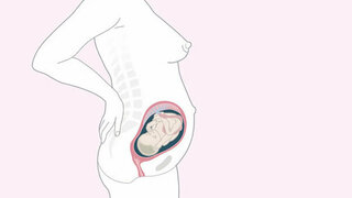 Schwangerschaftskalender SSW 27