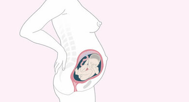 Babys Haut wird jetzt immer glatter: In der Unterhaut lagert sich Fett ein