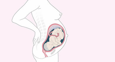 Die Gebärmutter reicht nun fast bis zum Brustbein. Das kann zu Kurzatmigkeit führen