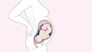 Schwangerschaftskalender SSW 34