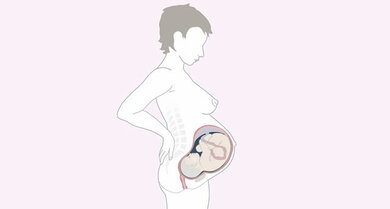 Ihr Baby sollte jetzt für das Leben außerhalb des Mutterleibs gerüstet sein