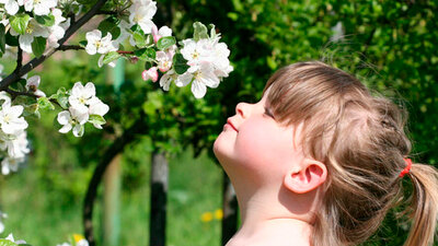 Mädchen riecht an einer Blüte