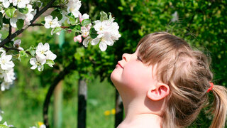 Mädchen riecht an einer Blüte