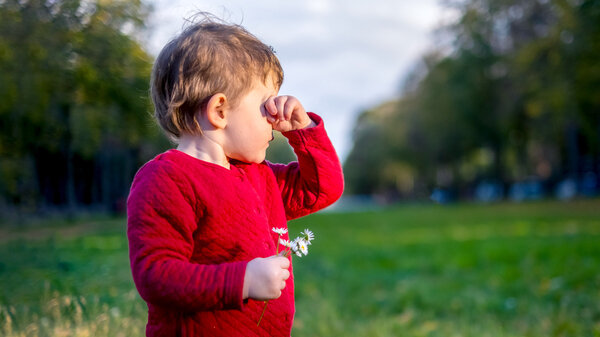 Allergie im Anflug? Oft entwickeln sich Heuschnupfen Co. schon in der Kindheit. Wir haben recherchiert, was Allergien wirklich vorbeugt – und was nicht.