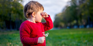 Allergie im Anflug? Oft entwickeln sich Heuschnupfen & Co. schon in der Kindheit. Wir haben recherchiert, was Allergien wirklich vorbeugt – und was nicht.