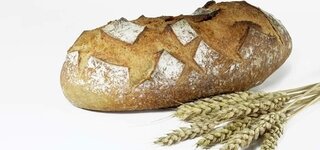 Brot