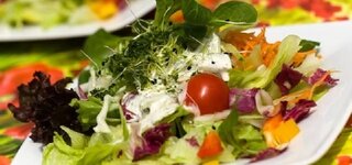Bunter Sommersalat mit Vinaigrette