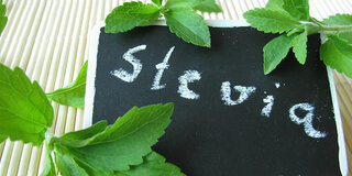 Stevia, Süßpflanze