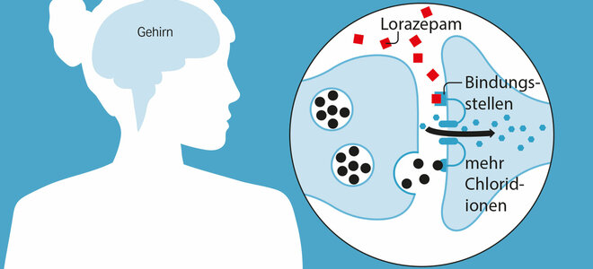 Das Benzodiazepin Lorazepam verstärkt die Wirkung von GABA. Es bindet an sogenannte Benzodiazepin- Bindungsstellen am GABA-A-Rezeptor. Die gleichzeitige Bindung von GABA und Lorazepam führt zu einem verstärkten Chlorideinstrom. Die Folge: Die hemmende Wirkung von GABA im Gehirn wird verstärkt. Die angstlösende, beruhigende und schlaffördernde Wirkung setzt ein.