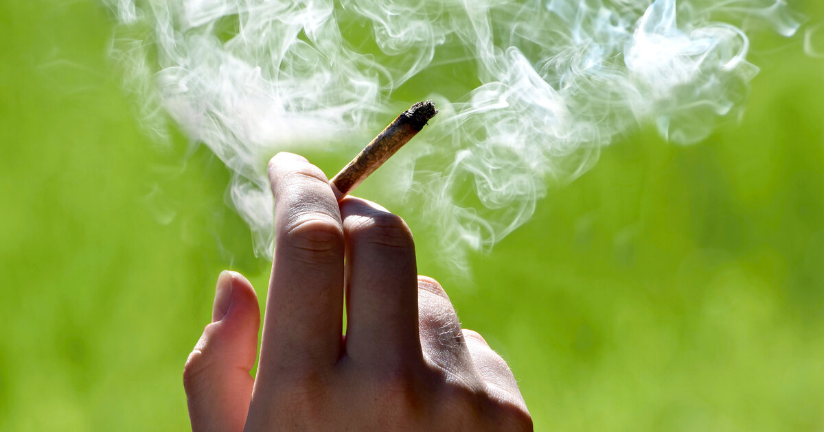 Marihuana als Heilmittel - Ein Tabu fällt