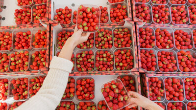 Frische Erdbeeren aus der Region gibt es derzeit noch nicht. Dafür rote Früchte, die aus fernen Ländern zu nach Deutschland importiert werden und nicht bedenkenlos verzehrt werden sollten.