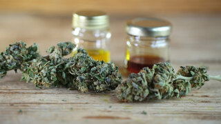 Medizinisches Cannabis gibt es zum Beispiel in Form von getrockneten Blüten und Extrakten.