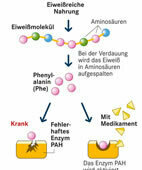 Enzym-Aktivator: Der neue Arzneistoff unterstu&#x308;tzt die Wirkung des Enzyms PAH und fo&#x308;rdert so den Abbau von Phenylalanin. (Für die Vergrößerung auf die Lupe oben links klicken)
