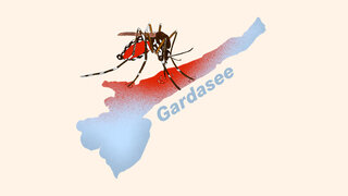 Krank durch einen Mückenstich: Tigermücken sind die Hauptüberträger des Dengue-Virus.