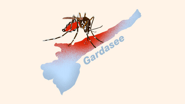 Grippe Saison 2.0? Neue Dengue Fälle In Frankreich Und Italien: Ist Die Lage Ernst? - pq6feuy