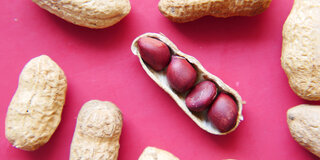 Erdnüsse sind lecker und gesund, rufen jedoch besonders bei Kindern häufig allergische Reaktionen hervor. 