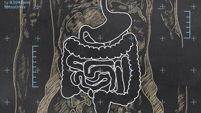 Verdauungstrakt: Die Billionen Bakterien im Darm waren lange unterschätzt 