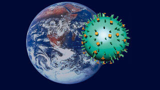 Grippe-Virus Weltweit