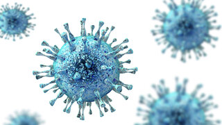 Das neuartige Coronavirus SARS-CoV-2 verursacht die Krankheit Covid-19.