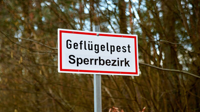 Ein Schild mit der Aufschrift „Geflügelpest Sperrbezirk“ warnt vor der Vogelgrippe.