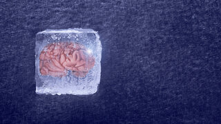 Ein Gehirn, bildhaft eingefroren in einem Eisblock.