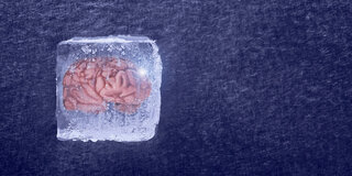 Ein Gehirn, bildhaft eingefroren in einem Eisblock.