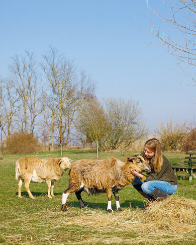 Redakteurin Kathrin Zinkant mit zweien ihrer Schafe – Lendl (links) und Boris – auf der Weide im Oderbruch.
