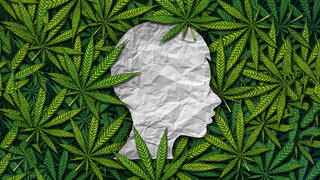 Eine Illustration zeigt einen Kinderkopf zwischen Cannabisblättern.