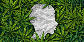 Eine Illustration zeigt einen Kinderkopf zwischen Cannabisblättern.