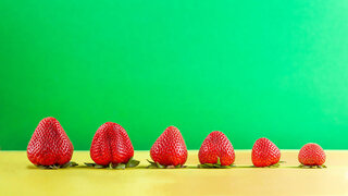 Sechs Erdbeeren liegen nebeneinander, die größte links, die kleinste rechts.