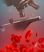Blutuntersuchung: Mit dem Mikroskop lässt sich zum Beispiel die Form der Blutkörperchen erkennen