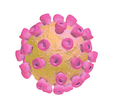Virus (schematisch)