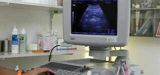 Ultraschall-Untersuchung