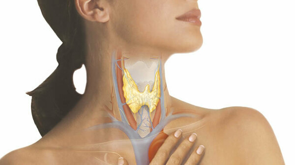 Йод при заболевании щитовидной. Йододефицитные заболевания щитовидной железы. Йододифицитщитовидной железы. Дефицит йода щитовидная железа.