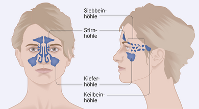Was tun bei einer Nasennebenhöhlenentzündung? | Apotheken Umschau