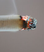 Tabakrauch enthält neben Nikotin noch zahlreiche andere gesundheitsschädliche Substanzen