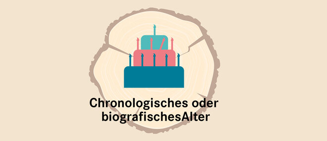 Infografik Baumscheibe chronologisches biografisches Alter