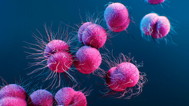 Tripper (medizinisch: Gonorrhö) wird durch bestimmte Bakterien, sogenannte Gonokokken ausgelöst.