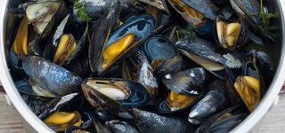 Miesmuscheln
