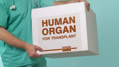 Transplantation menschlicher Organe
